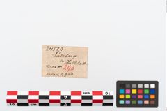 Etikett zu Bronzevasenkopfnadel (NHMW-PRAE-024589)